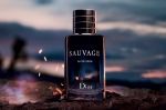 sauvage的英语翻译