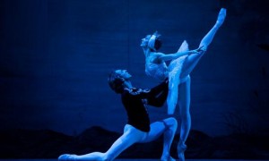 swan lake相关阅读