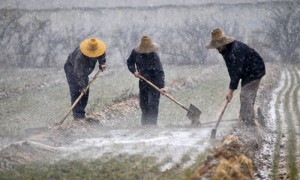 irrigate相关阅读