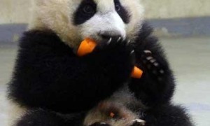 公众相关阅读