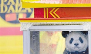 塞尔相关阅读