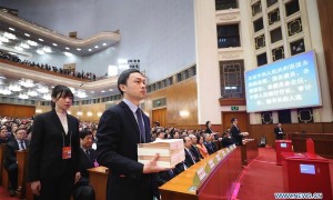 第十三届全国人大一次会议：副总理名单公布