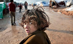 refugee相关阅读