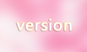 version相关阅读