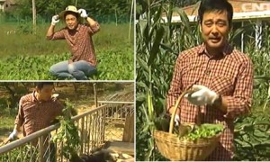 绿色相关阅读