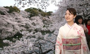 侵害相关阅读