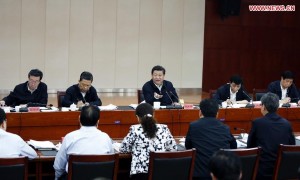 Xinhua相关阅读