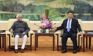 习近平会见印度副总统