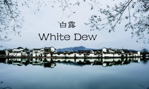 文化管窥：关于白露你可能不知道的10件事