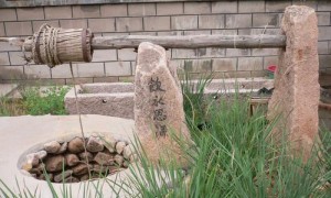 must not相关阅读