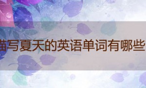 描写夏天的英语单词有哪些?