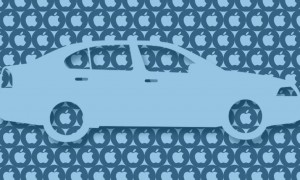 spotted相关阅读
