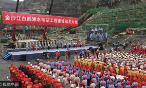 d-la相关阅读
