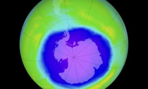 Antarctic相关阅读