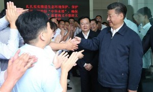 习近平主席强调生态保护的重要性