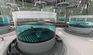 movies相关阅读