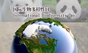 biodiversity相关阅读