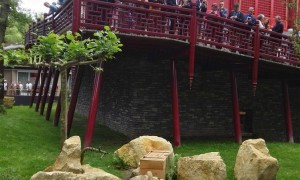 in d相关阅读