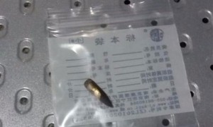 “生活在枪林弹雨中”是一种怎样的体验？