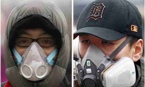 smoggy相关阅读