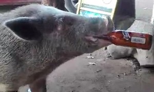 thirsty相关阅读
