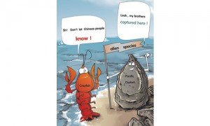 细数那些在中国活得很没“尊严”的入侵物种