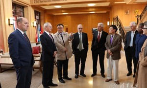 executive相关阅读