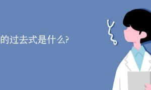 dice相关阅读