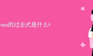 canvass的过去式是什么?canvass的用法和例句