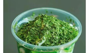 craze相关阅读